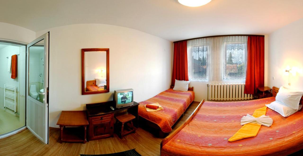 Hotel Alpin - 91 班斯科 外观 照片