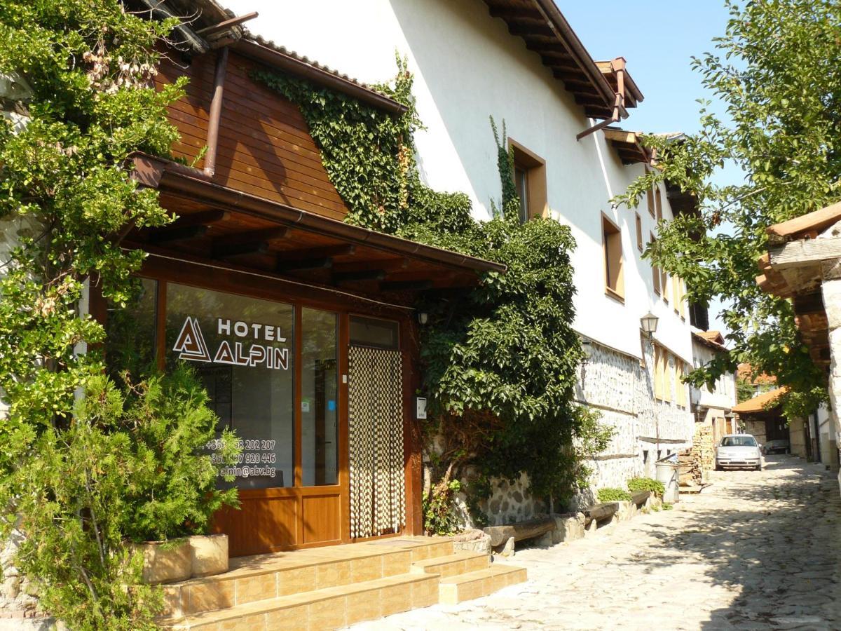 Hotel Alpin - 91 班斯科 外观 照片